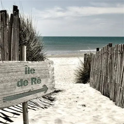 Tableau sur toile Plage Île de Ré 30x30 cm CEANOTHE Décoration Murale Art Décoratif Muraux Peinture Imprimée en HD Salon Chambre Bureau Fabriqué en France