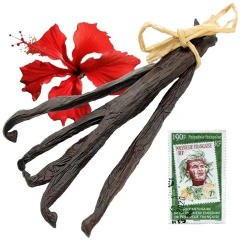 3 Véritables Gousses de Vanille de TAHITI « Origine Raiatea » 12 à 13cms pour 11gr. Production artisanale d’exception
