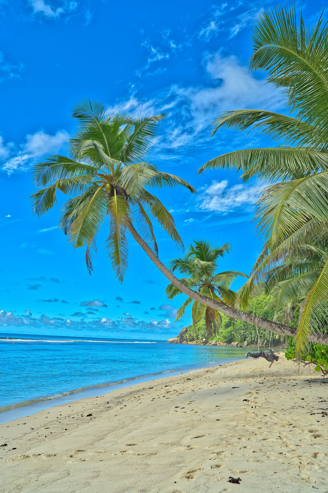 Plage antillaise aux eaux turquoise